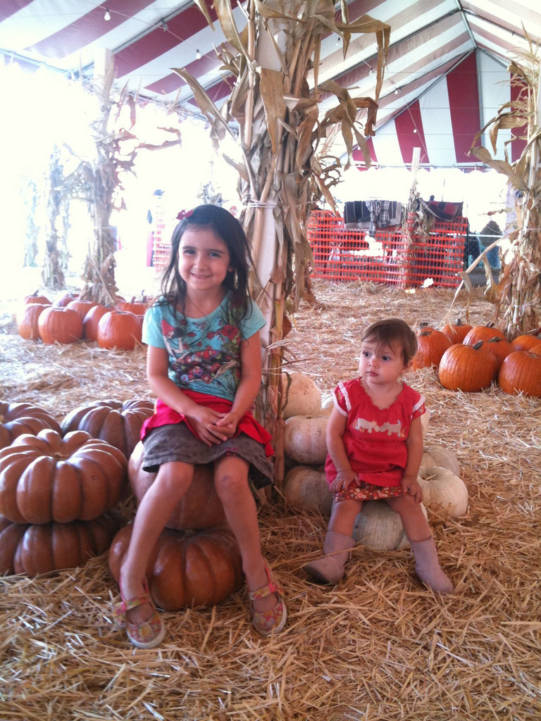 October 2009 on Flickr!